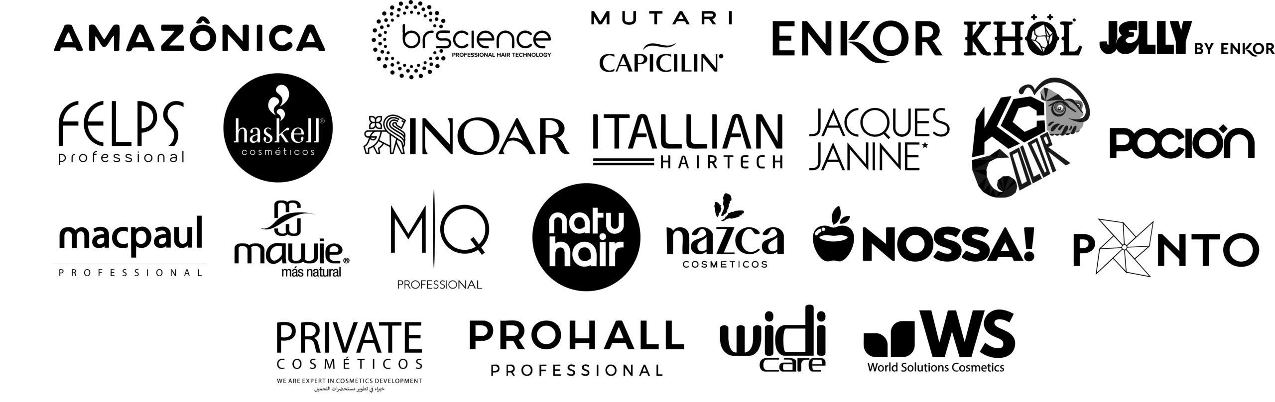 logos brasil horizontal